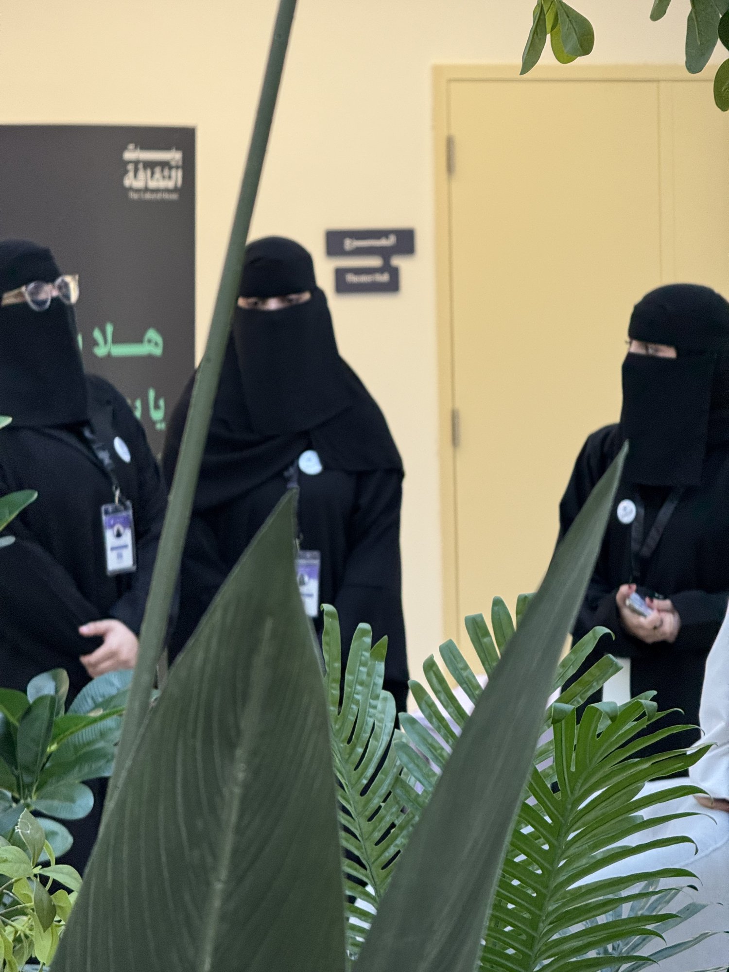 تدشين منصة MIHI — لقطة 39